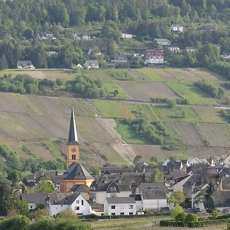 Oda ve Kahvaltı The Vines Trittenheim