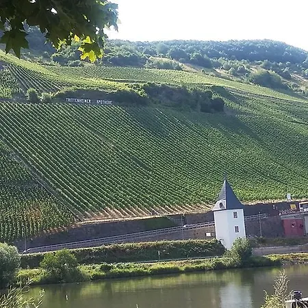 Oda ve Kahvaltı The Vines Trittenheim