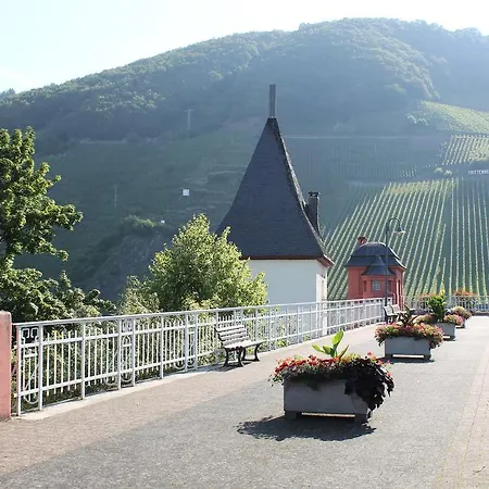 Oda ve Kahvaltı The Vines *