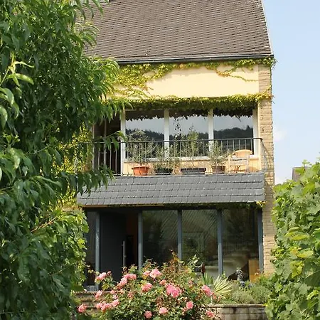 The Vines