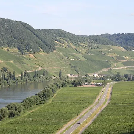 The Vines Oda ve Kahvaltı *